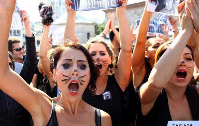 Agire ora celebra la Giornata dei diritti degli animali con un film