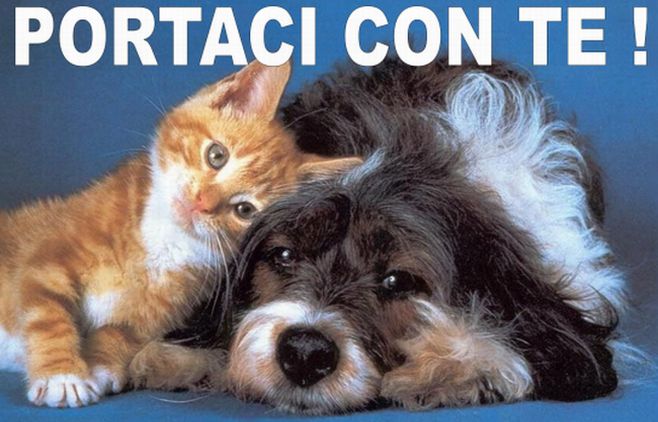 Il Comune di Tortona vara una campagna di sensibilizzazione contro l’abbandono di cani e gatti