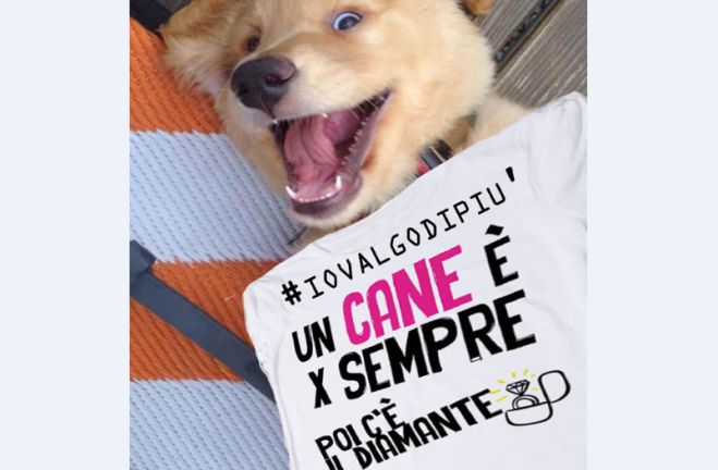 A Voghera una campagna contro l’abbandono dei cani