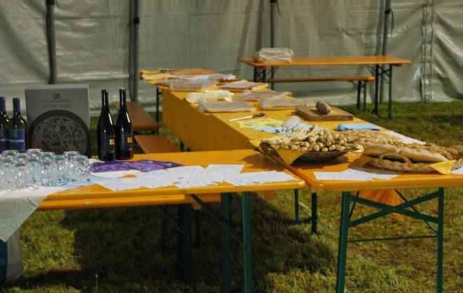 Domenica 10 luglio al circo di elilu di Castelnuovo Scrivia