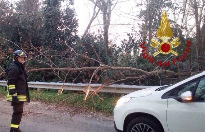 Pompieri in piazza Roma per una tenda e altri due interventi per il vento a Tortona