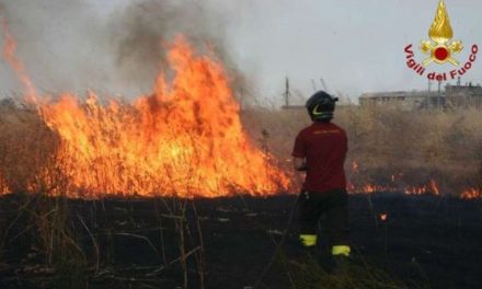 Fiamme a Rivalta Scrivia e San Giuliano: pompieri mobilitati per ore sul territorio, nessun danno a strutture