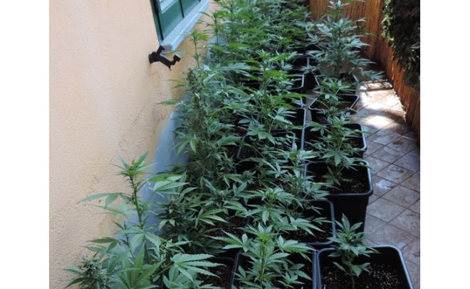 Due operazioni antidroga dei Carabinieri di Alessandria con due arresti