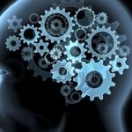 Contro l’invecchiamento cognitivo e della mente parte un corso a Diano Marina al Circolo Carlotta Garibaldi