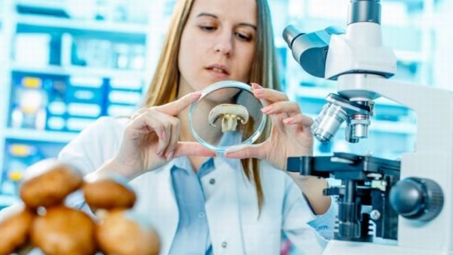 L’Azienda Ospedaliera di Alessandria alla Notte dei Ricercatori