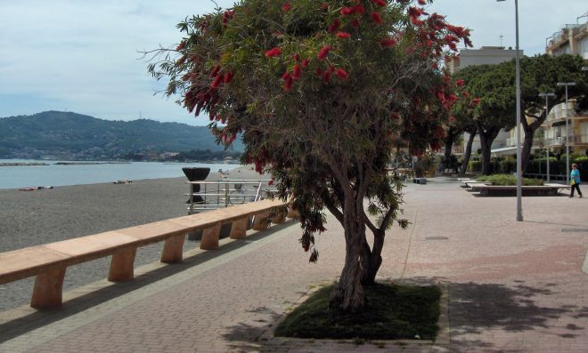 San Bartolomeo in gara su “Ponente Ligure Fotosintesi” Mettete i like sulle foto per farlo vincere
