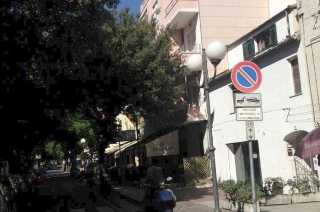 Problemi con gli alberi a Diano Marina, il Comune: “Facciamo un sopralluogo e interveniamo”
