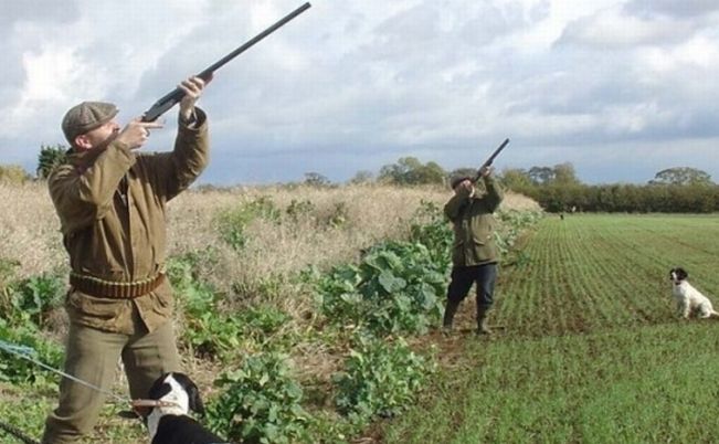 Due tortonesi uccidono un capriolo di frodo e lo nascondono in auto, ma vengono individuati dai Carabinieri