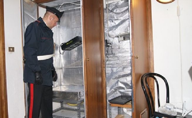 Giovane novese trasforma la mansarda in una coltivazione di droga