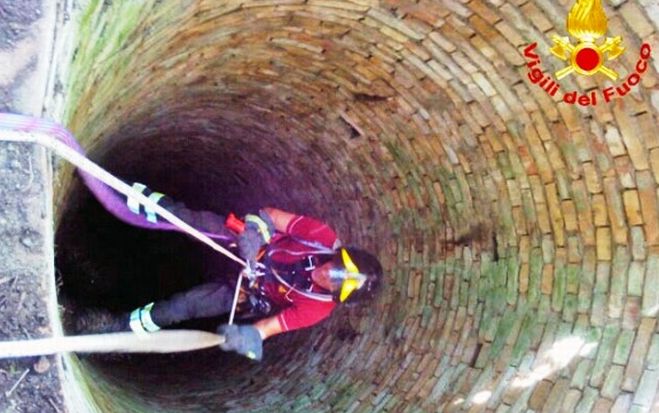 Valenza, i Vigili del fuoco salvano un cane caduto in un  pozzo calandosi per diversi metri sottoterra