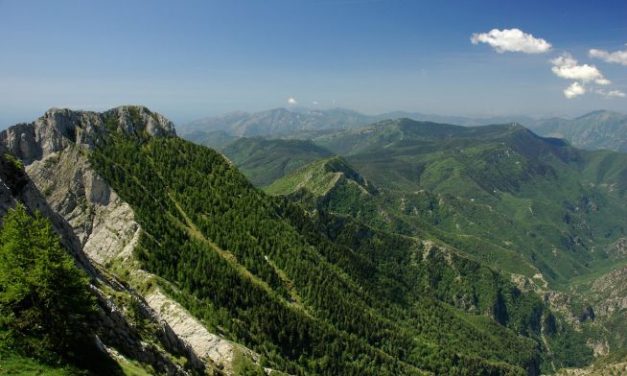 Gli appuntamenti del week end nei Comuni del parco delle Alpi Liguri