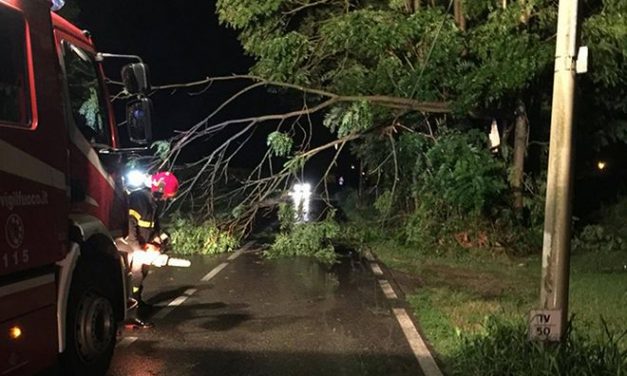 A Novi Ligure il vento fa cadere rami di alberi creando problemi alla circolazione stradale