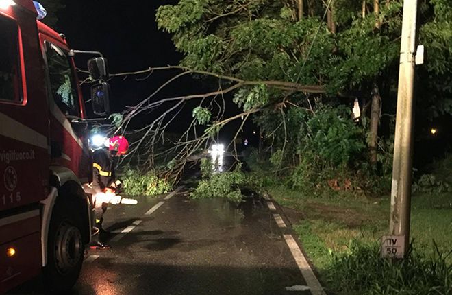 A Novi Ligure il vento fa cadere rami di alberi creando problemi alla circolazione stradale