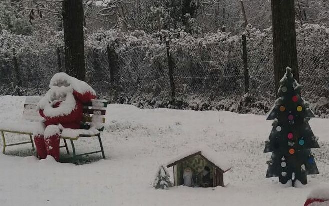 A Carbonara Scrivia c’è un giardino speciale addobbato a festa dai bambini del paese