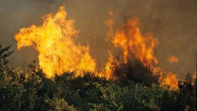 Si incendiano i boschi della val Borbera, a fuoco dieci ettari di vegetazione