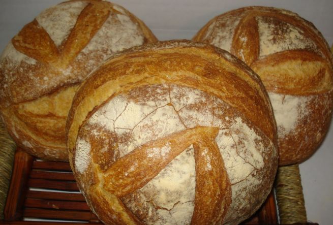 Dodici agricoltori tortonesi daranno vita ad un nuovo tipo di pane fatto col grano tenero San Pastore