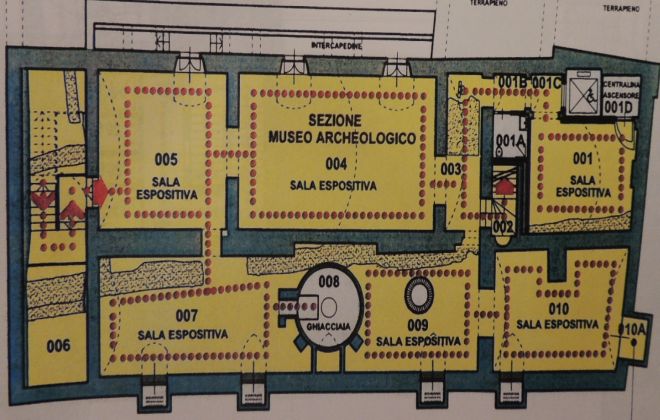 piantinamuseo Oggi Cronaca