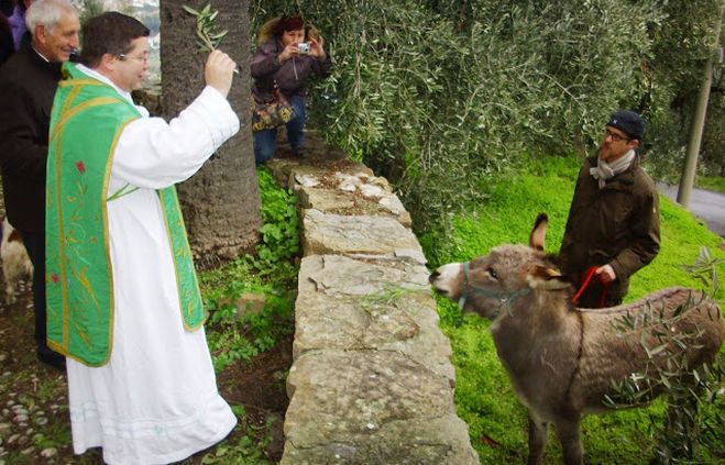 Domenica pomeriggio alla frazione Diano Calderina si benedicono gli animali