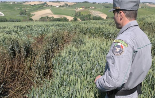 Per L’asl non ci sono criticità per la salute dei residenti nell’area della discarica situata sul territorio di Sanremo e Taggia