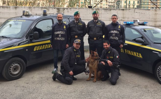 A Ventimiglia la Finanza blocca un traffico di 8 Kg di marijuana grazie anche alle unità cinofile