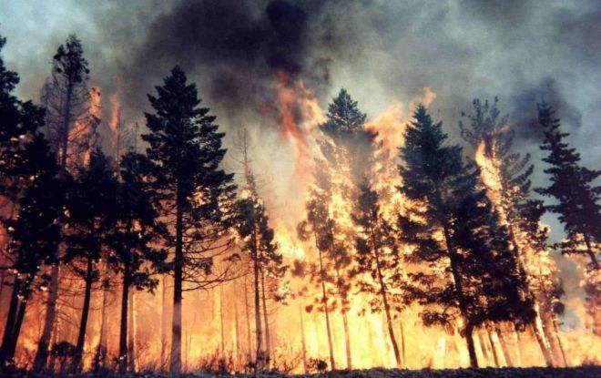 Dopo gli incendi di Cervo e nel Ponente la Regione Liguria lancia lo stato di grave pericolosità: vietato accendere fuochi di qualsiasi tipo