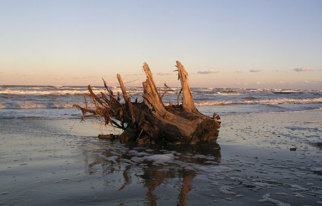 A Ventimiglia da lunedì è possibile raccogliere liberamente il legname sulle sulle spiagge