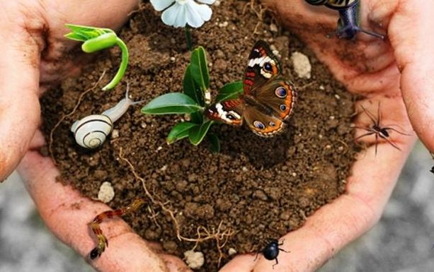 la Liguria custode della biodiversità