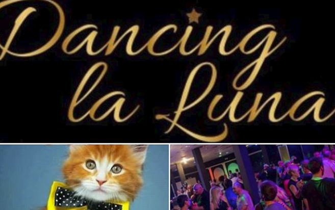 La Questura di Imperia sequestra il dancing “la Luna”