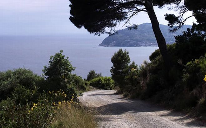 Passeggiate ed escursioni sui sentieri del GolfoDianese, in primavera cinque appuntamenti con la natura