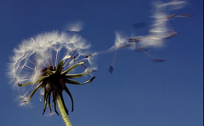 Arpal meteo, inverno 2017: mite, secco e ventoso. Per il quinto anno consecutivo stagione mite