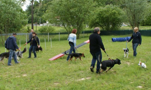 Domenica ad Alessandria si inaugura una nuova area per i cani