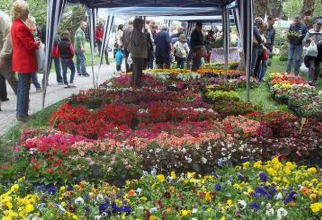 Ad Alessandria nel week end torna “Floreale”