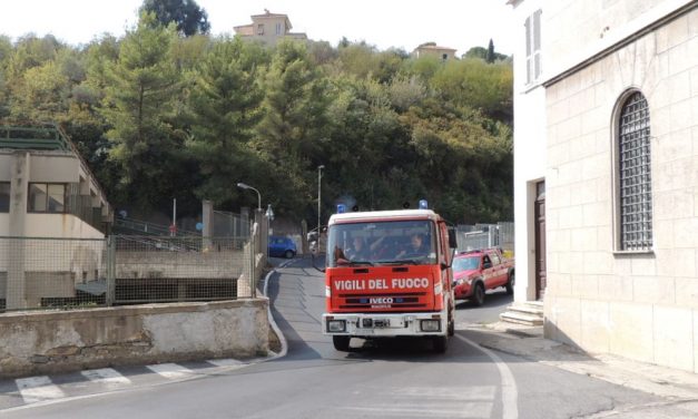 A Diano Marina un albero abbattuto a causa del vento e rimosso dai Vigili del fuoco