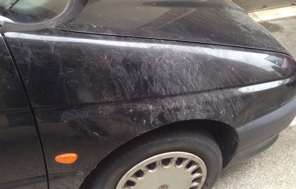 Tortona, la zona di via Pinto di notte fa paura e due cani di grossa taglia danneggiano quest’auto parcheggiata sotto casa