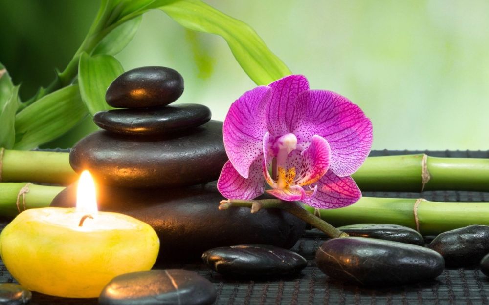 Domenica a Diano Castello una Giornata dedicata all’anima sulla comprensione dei 5 elementi