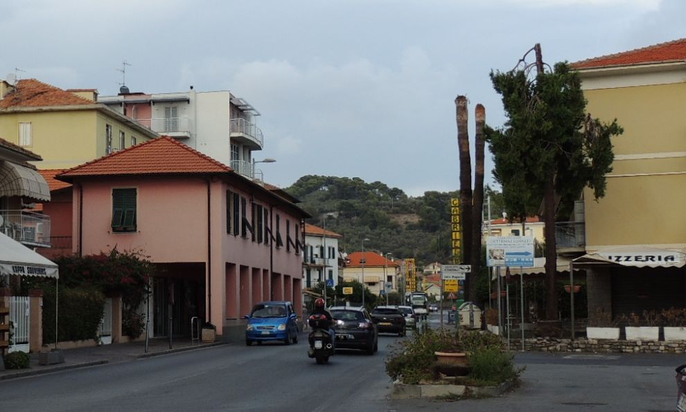 Giovedì il Comune di Diano Marina abbatte i fusti delle palme malate infestate dal punteruolo rosso