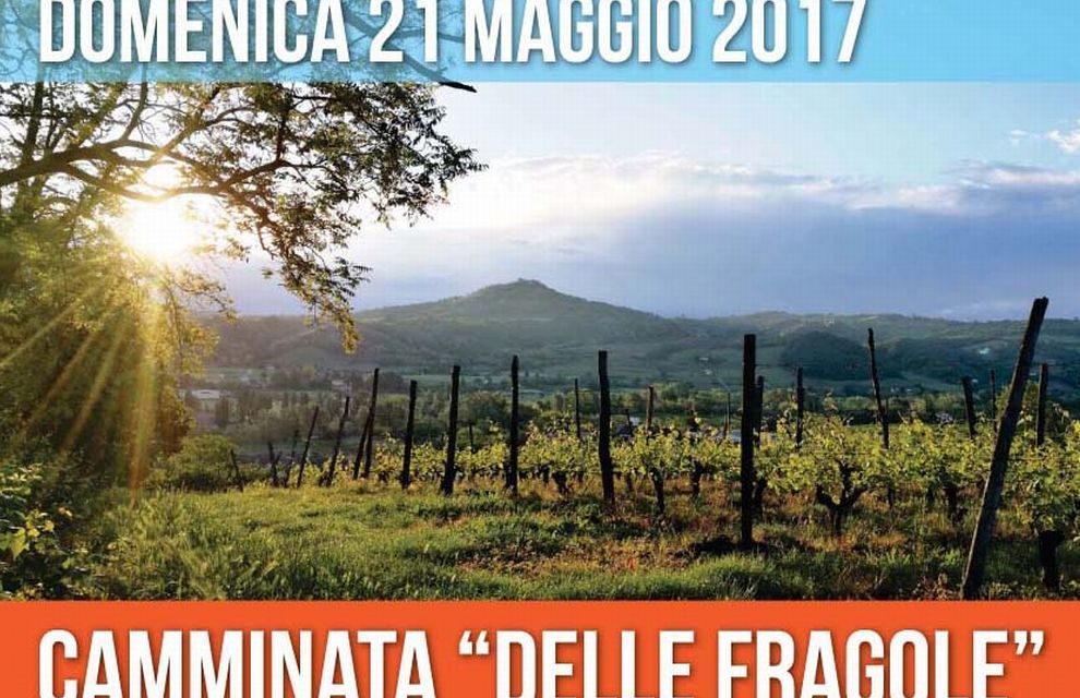 Tanti appuntamenti a Volpedo organizzati dall’associazione Pellizza. Si parte con una camminata