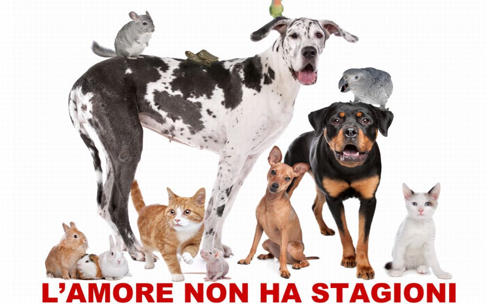 Un vademecum del Comune di Tortona per la salute degli animali in estate