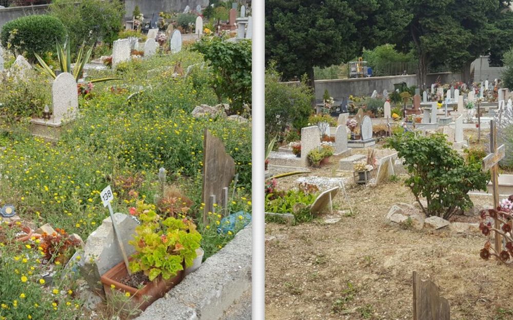 A Imperia i migranti puliscono i cimiteri di Oneglia e Porto