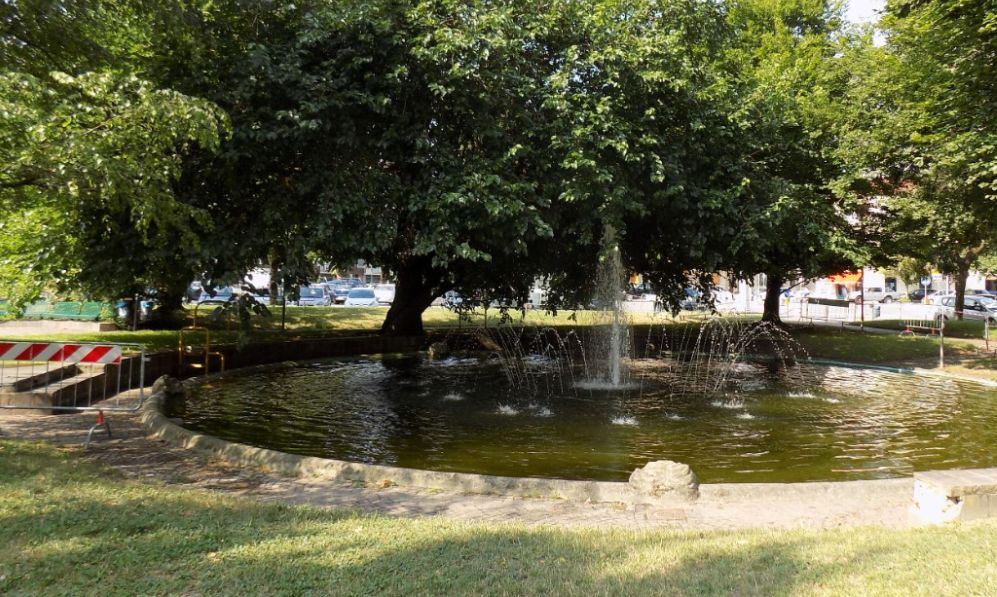 Molti rami pericolanti per il maltempo a Casale Monferrato