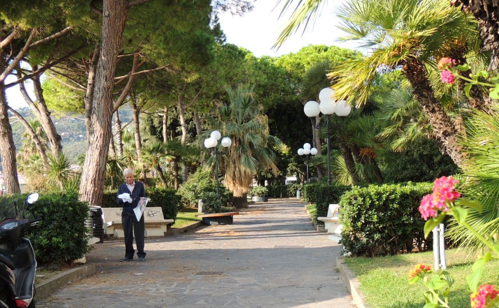 Diano marina vara controlli straordinari sulle piante e cerca una ditta per rimuovere quelle malate