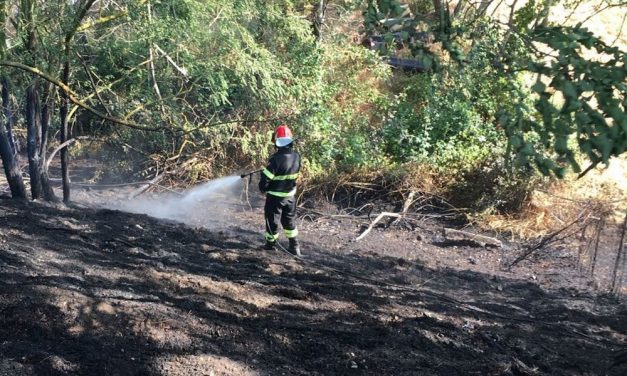 Un treno semina incendi lungo la tratta Tortona-Alessandra. Quattro squadre dei pompieri al lavoro per 3 ore
