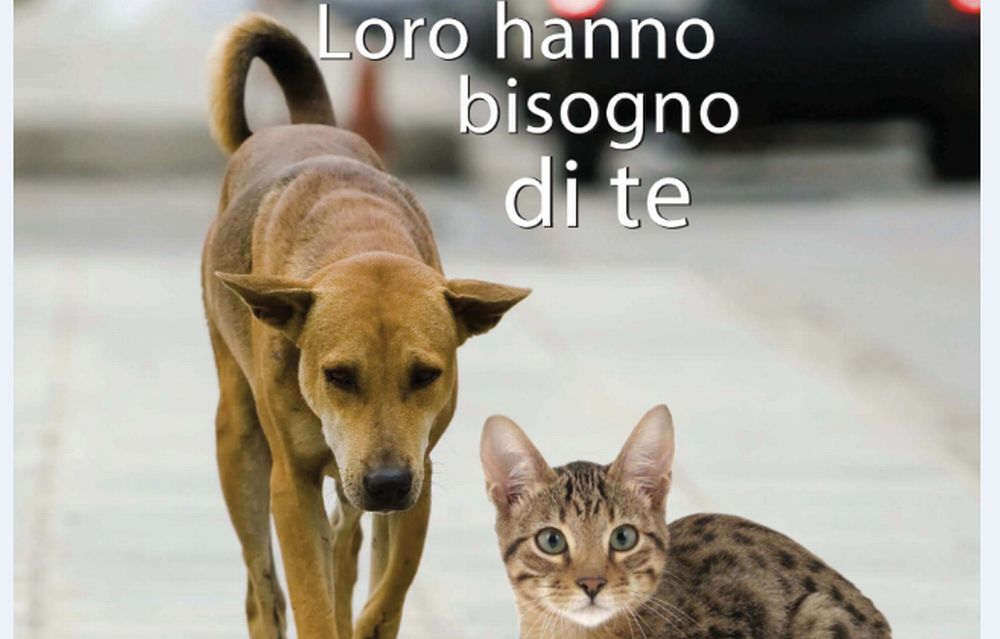 Il Comune di Alessandria vara una Campagna informativa contro l’abbandono degli animali
