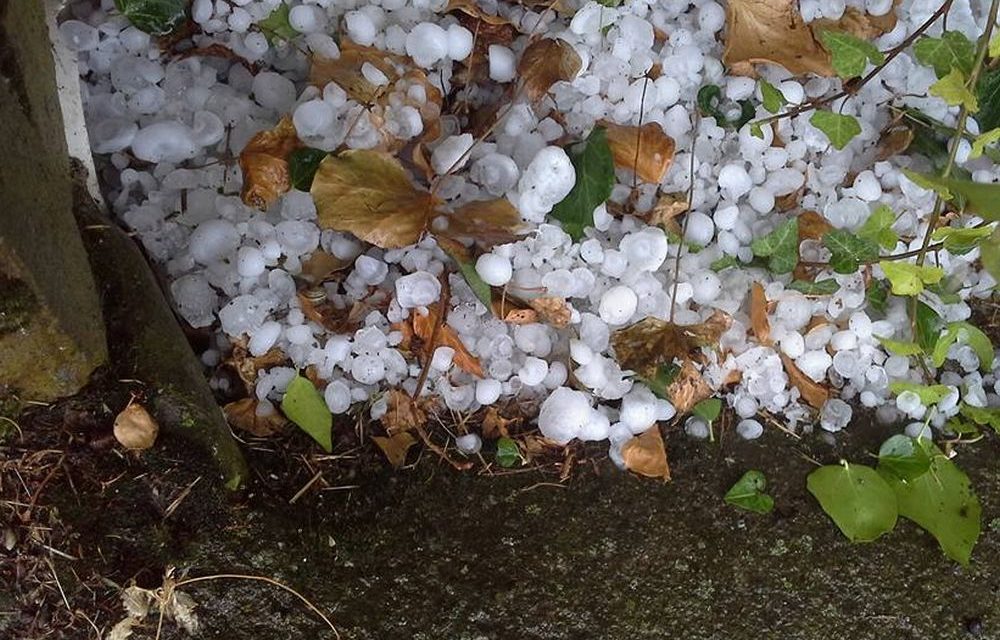 Grandine: chicchi grandi come noci a Ricaldone, nell’Acquese, e il pomodoro da industria compromesso nel Novese