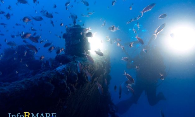 “Diano sottoMarina” torna stasera: al Molo delle Tartarughe un viaggio alla scoperta degli ecosistemi sommersi