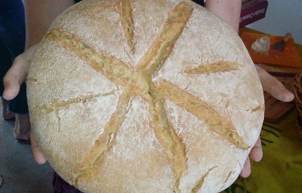 A Tortona si venderà per la prima volta il pane realizzato col il grano pastore.