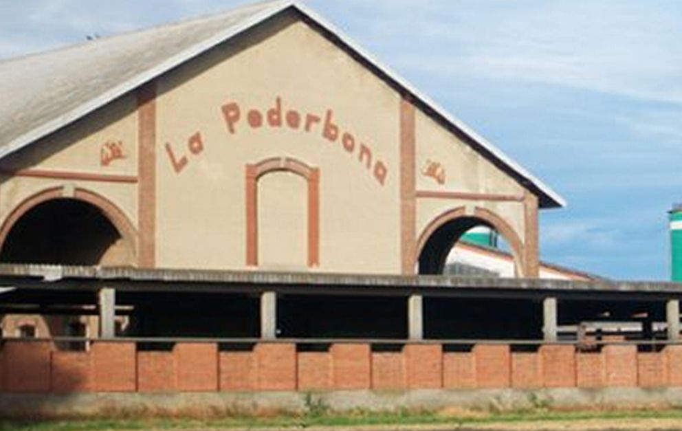 Alessandria, col trattore abbatte tre pilastri della stalla, fa crollare il tetto e ammazza 4 mucche