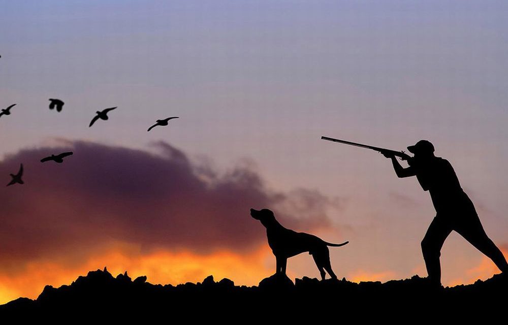 Domenica a Diano Marina c’è la 63esima edizione della Mostra Mercato della caccia