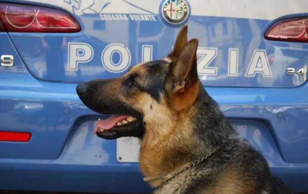 La Polizia vara controlli straordinari alla città di Imperia utilizzando unità cinofile