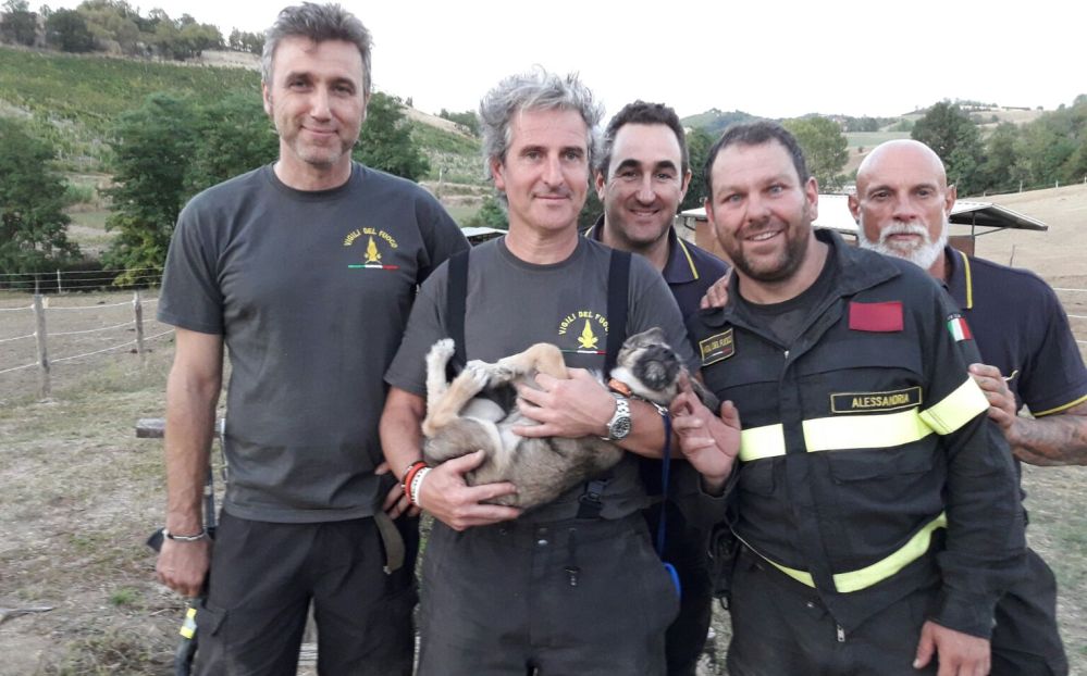 Incredibile salvataggio dei Vigili del Fuoco di Tortona che scavano con le mani per oltre due ore per impedire la morte di un cane